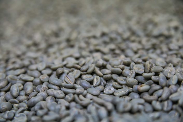 granos-cafe-tipicco